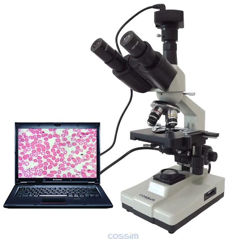 XSP-100SM生物顯微鏡  多功能生物顯微鏡 數(shù)碼型生物鏡 XSP-100SM生物顯微鏡  多功能生物顯微鏡 數(shù)碼型生物鏡